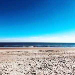 Meet your Posher, Lexi